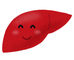 肝臓