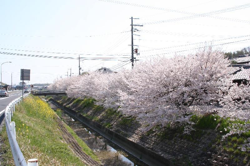 佐味田川