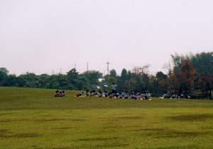 公園館芝生