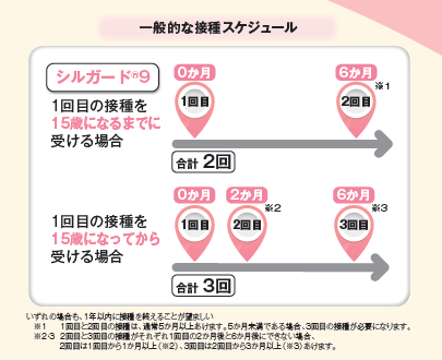 9価接種スケジュール